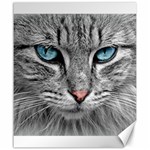 Cat Animal Cat Portrait Mackerel Canvas 20  x 24  19.57 x23.15  Canvas - 1