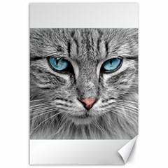 Cat Animal Cat Portrait Mackerel Canvas 24  X 36  by Sudhe