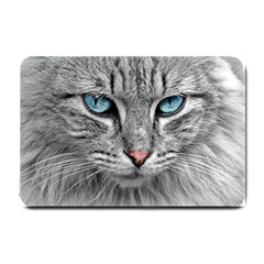 Cat Animal Cat Portrait Mackerel Small Doormat  by Sudhe