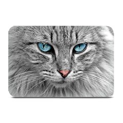 Cat Animal Cat Portrait Mackerel Plate Mats by Sudhe