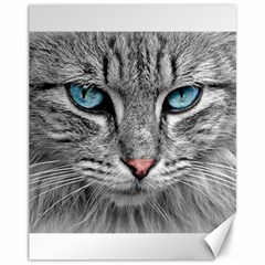 Cat Animal Cat Portrait Mackerel Canvas 11  X 14  by Sudhe