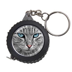 Cat Animal Cat Portrait Mackerel Measuring Tape by Sudhe