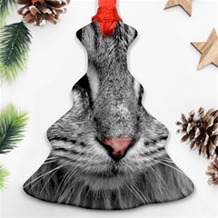 Cat Animal Cat Portrait Mackerel Ornament (christmas Tree)  by Sudhe