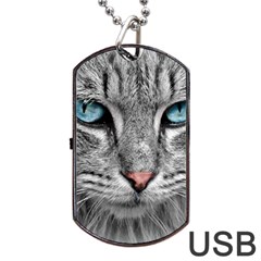 Cat Animal Cat Portrait Mackerel Dog Tag Usb Flash (one Side) by Sudhe