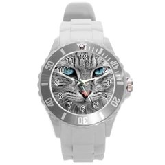 Cat Animal Cat Portrait Mackerel Round Plastic Sport Watch (l)