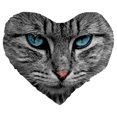 Cat Animal Cat Portrait Mackerel Large 19  Premium Heart Shape Cushions