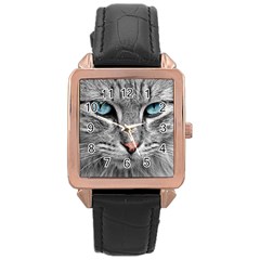 Cat Animal Cat Portrait Mackerel Rose Gold Leather Watch  by Sudhe