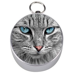 Cat Animal Cat Portrait Mackerel Silver Compasses by Sudhe