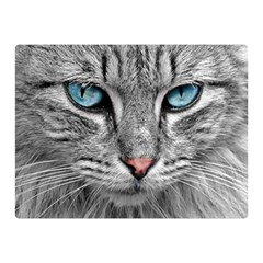 Cat Animal Cat Portrait Mackerel Double Sided Flano Blanket (mini)  by Sudhe