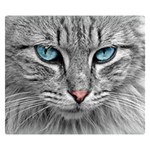 Cat Animal Cat Portrait Mackerel Double Sided Flano Blanket (Small)  50 x40  Blanket Back