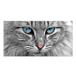 Cat Animal Cat Portrait Mackerel Satin Shawl Front