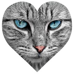 Cat Animal Cat Portrait Mackerel Wooden Puzzle Heart by Sudhe