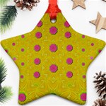 Bloom On In  The Sunshine Decorative Star Ornament (Two Sides) Front