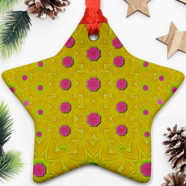 Bloom On In  The Sunshine Decorative Star Ornament (Two Sides)