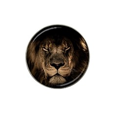 African Lion Wildcat Mane Closeup Hat Clip Ball Marker by Sudhe