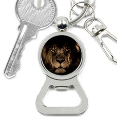 African Lion Wildcat Mane Closeup Bottle Opener Key Chain by Sudhe