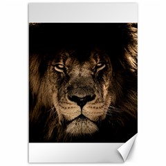 African Lion Wildcat Mane Closeup Canvas 12  X 18  by Sudhe