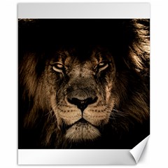 African Lion Wildcat Mane Closeup Canvas 16  X 20  by Sudhe