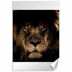 African Lion Wildcat Mane Closeup Canvas 24  X 36  by Sudhe