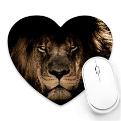 African Lion Wildcat Mane Closeup Heart Mousepads by Sudhe