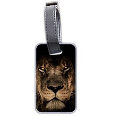 African Lion Wildcat Mane Closeup Luggage Tag (two Sides) by Sudhe