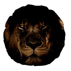 African Lion Wildcat Mane Closeup Large 18  Premium Round Cushions by Sudhe