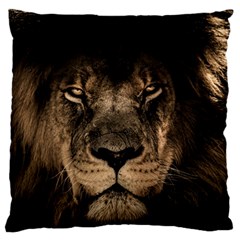 African Lion Wildcat Mane Closeup Large Flano Cushion Case (one Side) by Sudhe