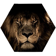 African Lion Wildcat Mane Closeup Wooden Puzzle Hexagon by Sudhe