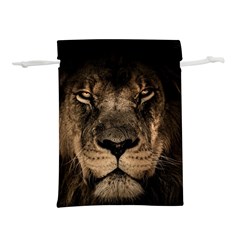 African Lion Wildcat Mane Closeup Lightweight Drawstring Pouch (l)