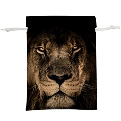 African Lion Wildcat Mane Closeup  Lightweight Drawstring Pouch (xl) by Sudhe