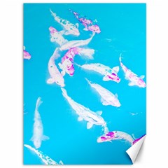 Koi Carp Scape Canvas 36  X 48  by essentialimage