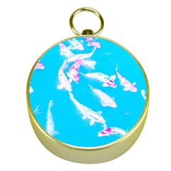 Koi Carp Scape Gold Compasses by essentialimage