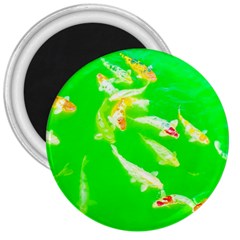 Koi Carp Scape 3  Magnets by essentialimage