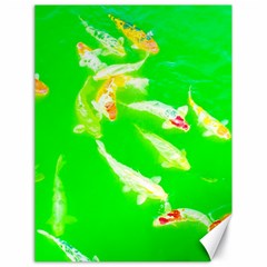 Koi Carp Scape Canvas 18  X 24  by essentialimage