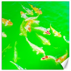 Koi Carp Scape Canvas 12  X 12  by essentialimage