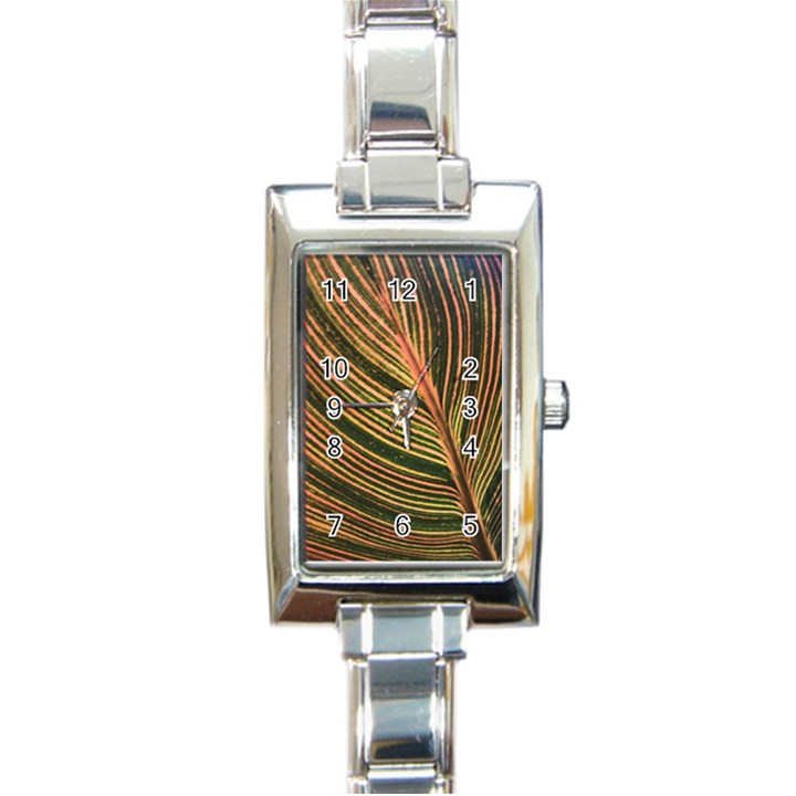 Leaf Patten Lines Colorful Plant Rectangle Italian Charm Watch