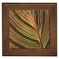 Leaf Patten Lines Colorful Plant Framed Tile by Simbadda