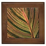 Leaf Patten Lines Colorful Plant Framed Tile Front