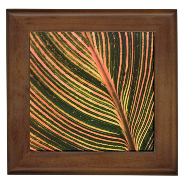 Leaf Patten Lines Colorful Plant Framed Tile