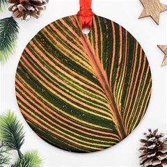 Leaf Patten Lines Colorful Plant Round Ornament (two Sides) by Simbadda