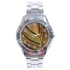 Leaf Patten Lines Colorful Plant Stainless Steel Analogue Watch by Simbadda