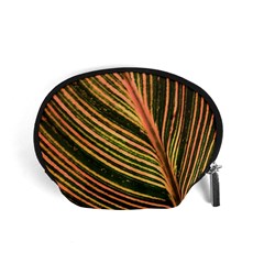 Leaf Patten Lines Colorful Plant Accessory Pouch (small) by Simbadda