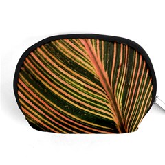 Leaf Patten Lines Colorful Plant Accessory Pouch (medium) by Simbadda