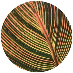 Leaf Patten Lines Colorful Plant Wooden Puzzle Round