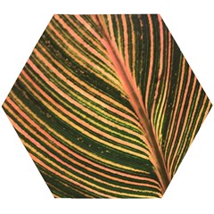 Leaf Patten Lines Colorful Plant Wooden Puzzle Hexagon by Simbadda