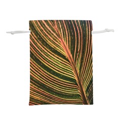 Leaf Patten Lines Colorful Plant Lightweight Drawstring Pouch (l) by Simbadda