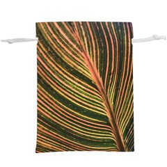 Leaf Patten Lines Colorful Plant  Lightweight Drawstring Pouch (xl) by Simbadda