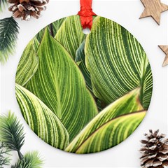 Leaves Striped Pattern Texture Ornament (round) by Simbadda