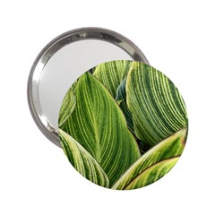 Leaves Striped Pattern Texture 2 25  Handbag Mirrors by Simbadda