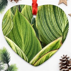 Leaves Striped Pattern Texture Heart Ornament (two Sides) by Simbadda